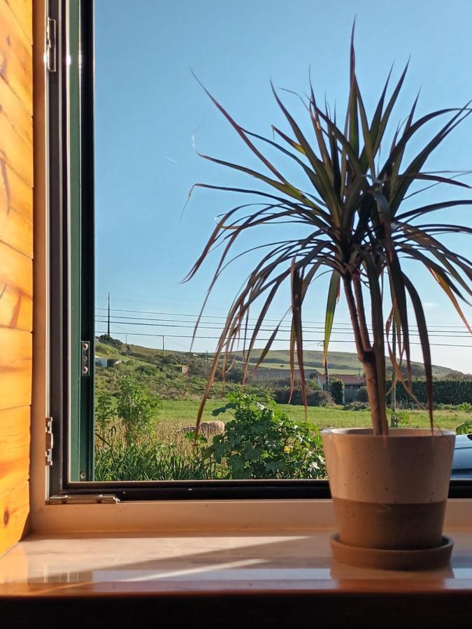 Roots Cozy House Raposeira Villa Raposeira  ภายนอก รูปภาพ